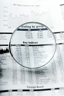 鸡西同志供卵选性别：nt值偏高风险大吗下一步检查什么？